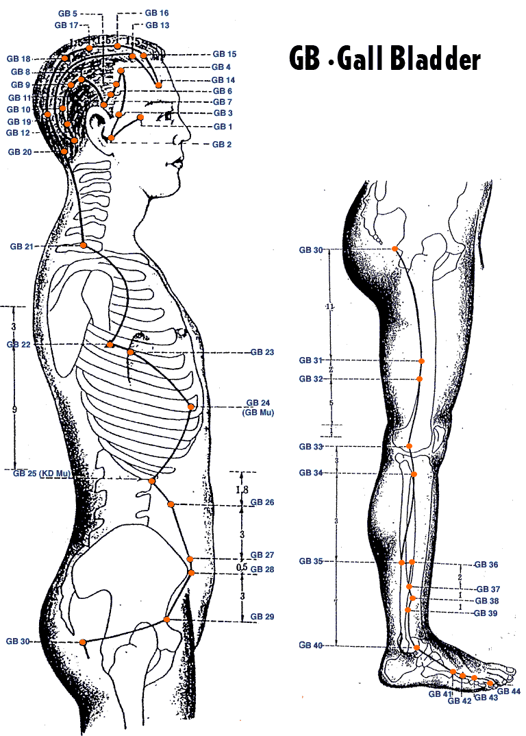 Gallbladder meridian diagram